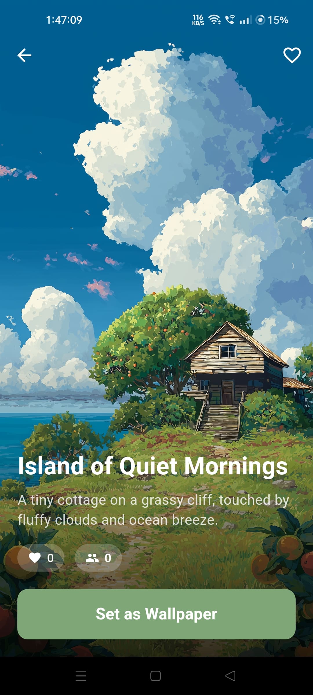 Wallpaper Detail View